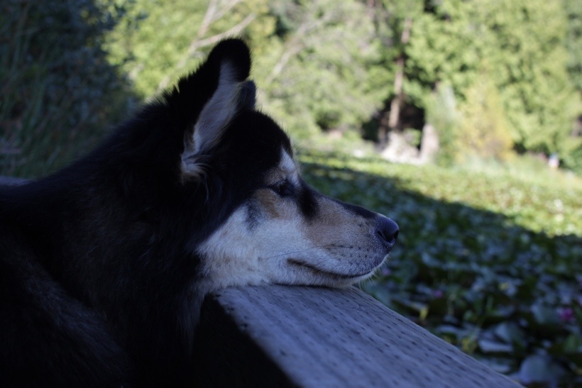 20130715-223227.jpg