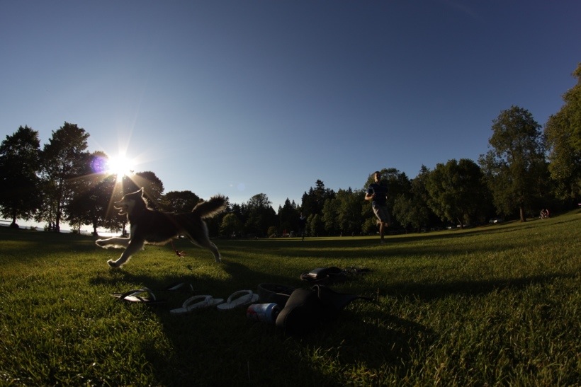 20130715-225156.jpg