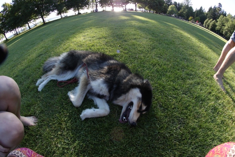 20130715-225205.jpg