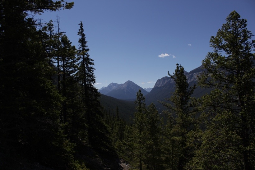20130716-220527.jpg