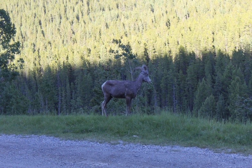 20130716-221049.jpg