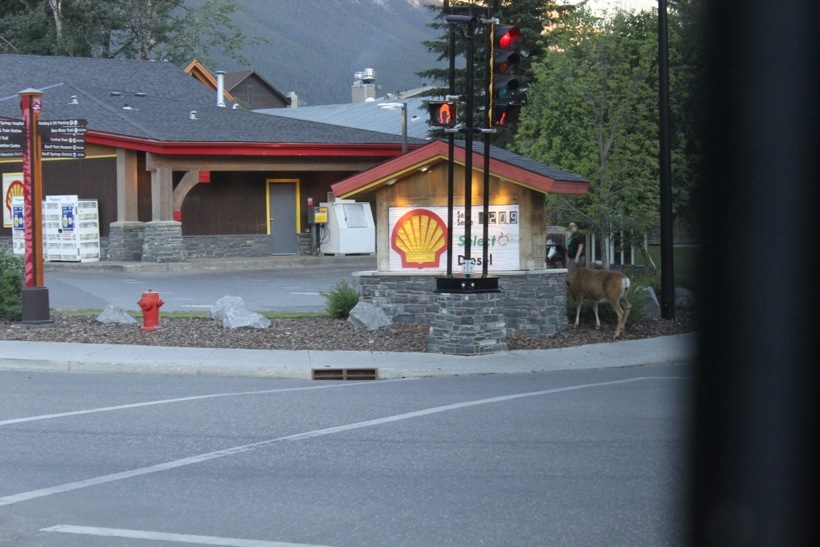 20130716-221059.jpg