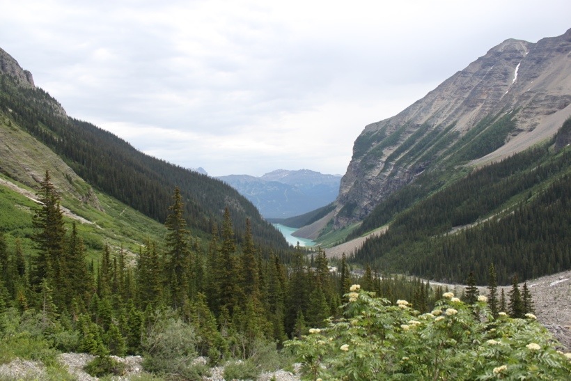 20130719-231400.jpg